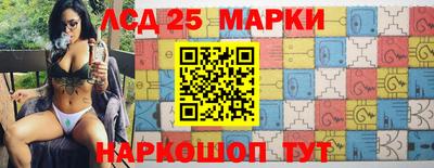 a pvp Славгород