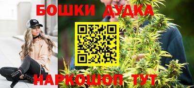 a pvp Славгород