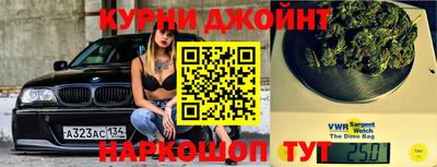 a pvp Славгород