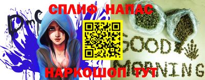 a pvp Славгород