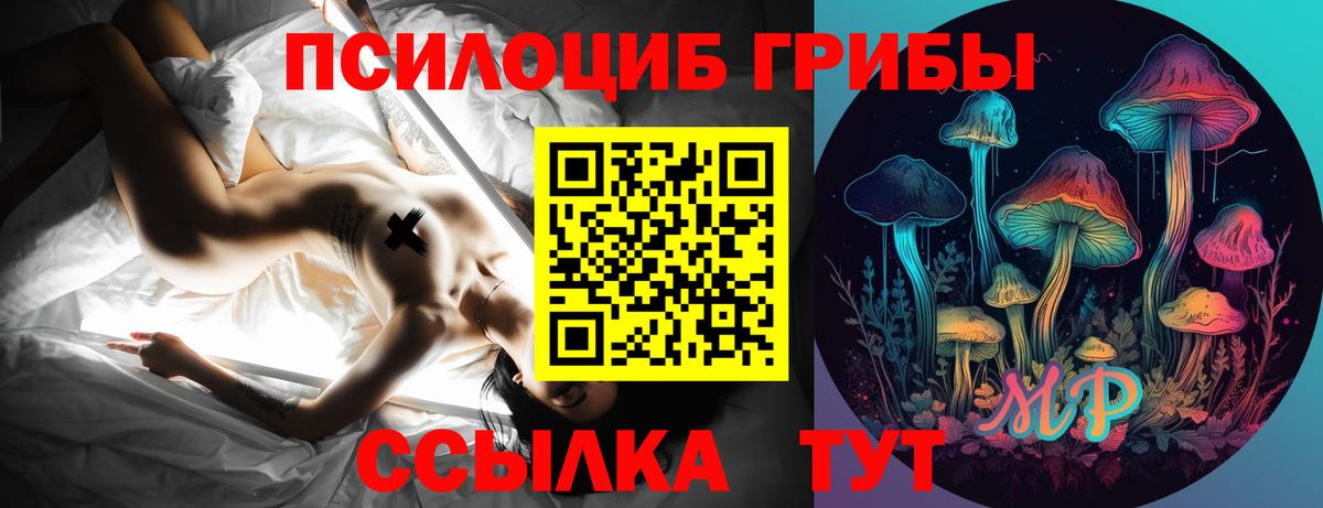 Галлюциногенные грибы Magic Shrooms Курск