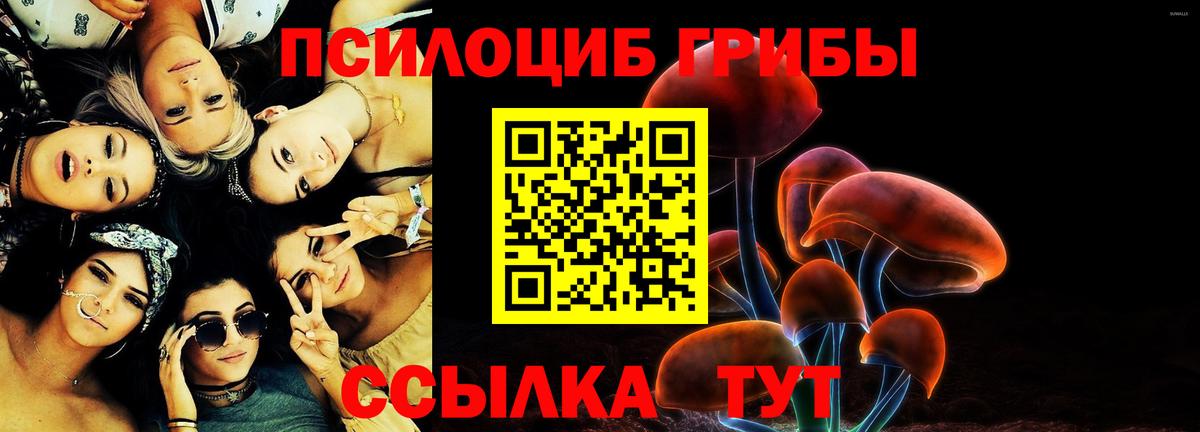 Псилоцибиновые грибы Magic Shrooms  Вход с VPN  Курск 